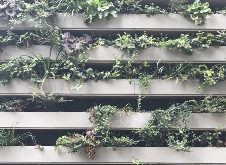 Living Plant Walls- are they good for a private garden?