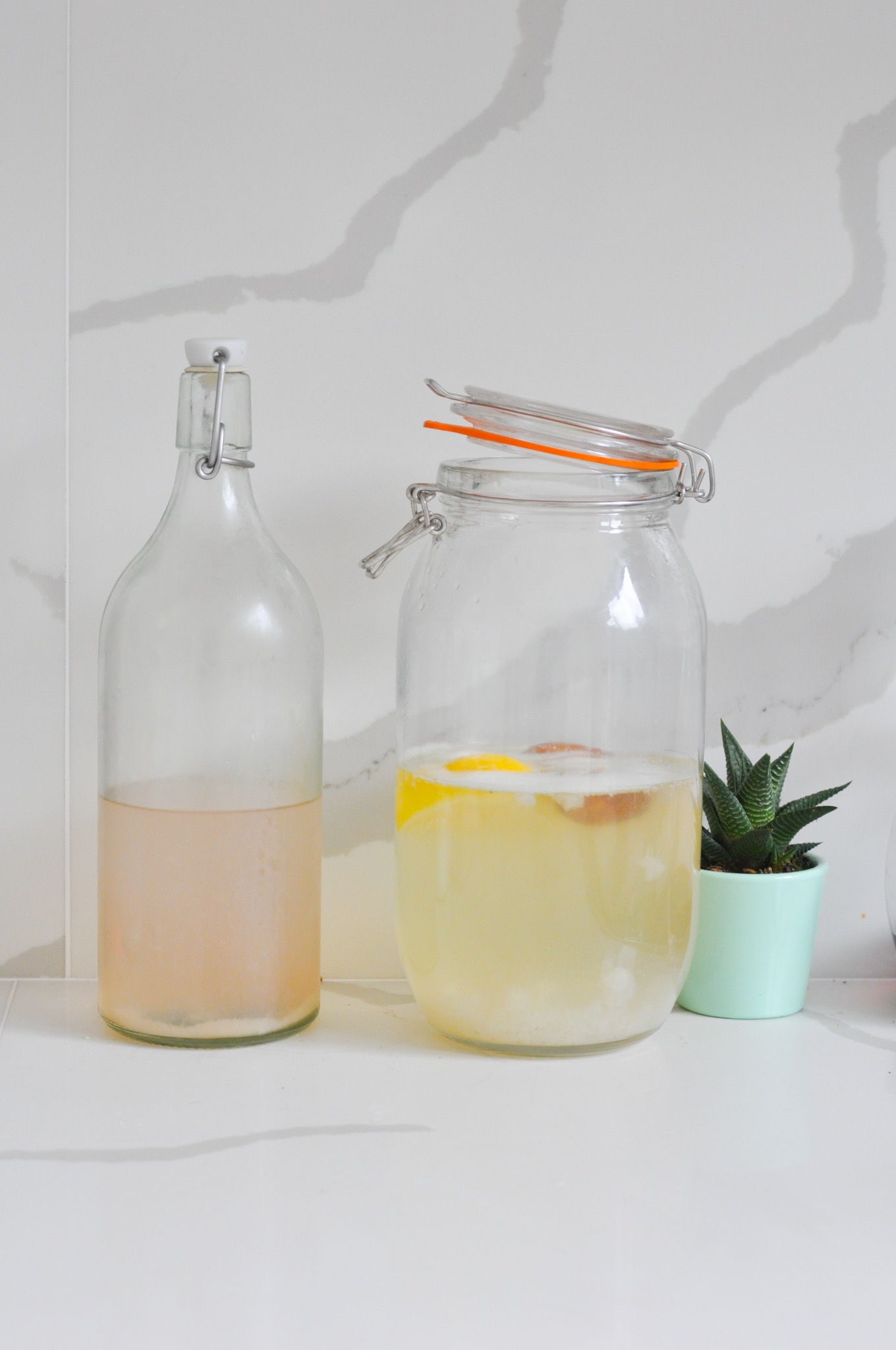 Making probiotic water kefir