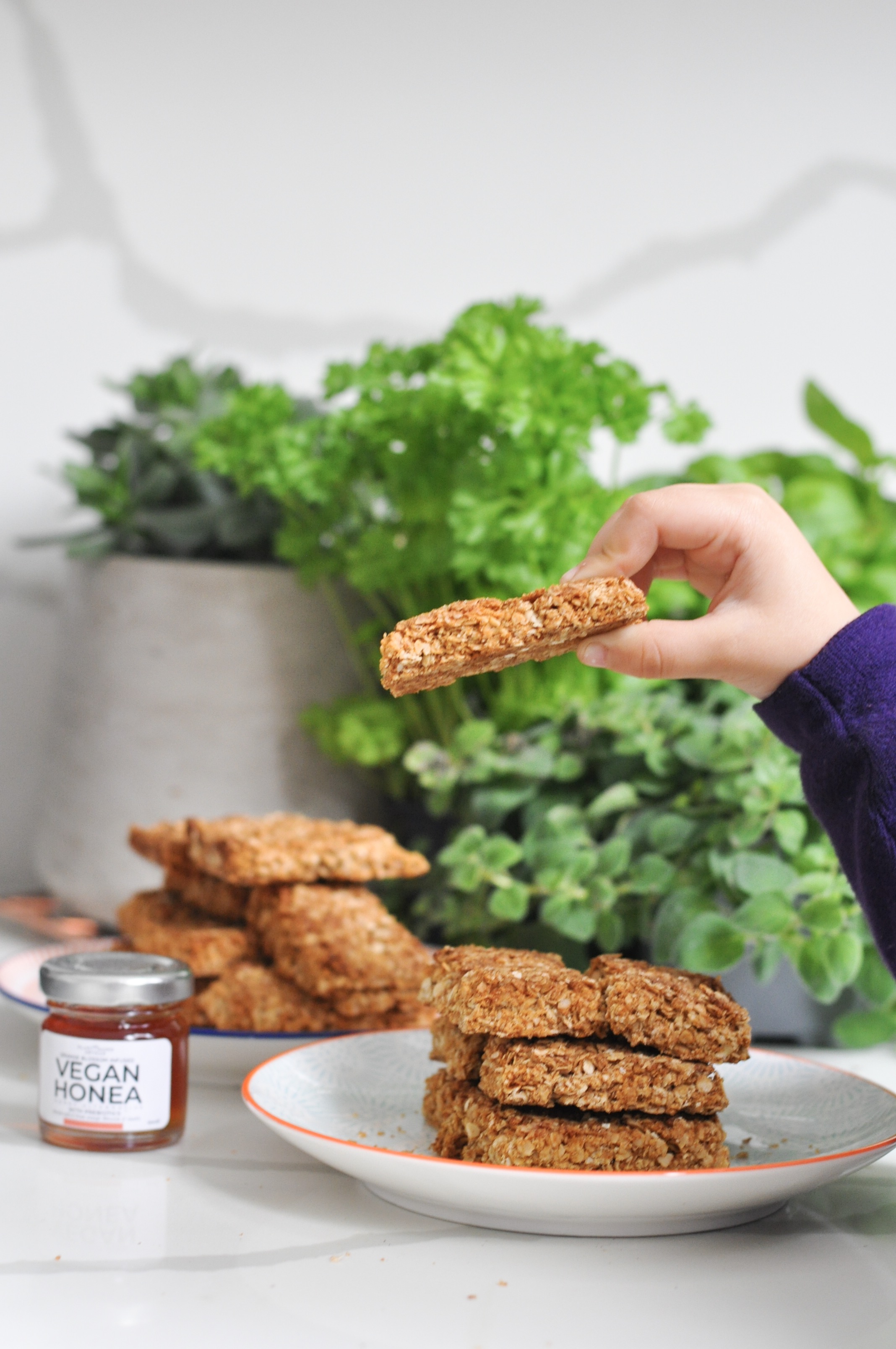 Vegan Crunchy Oat bars